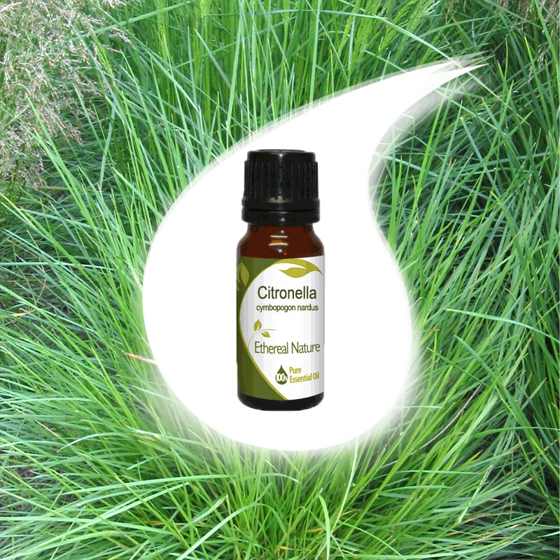 CITRONELLA essential oil 10ml