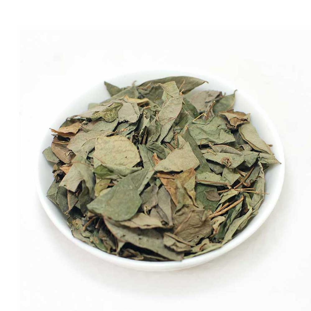 DESMODIUM (Desmodium) leaves