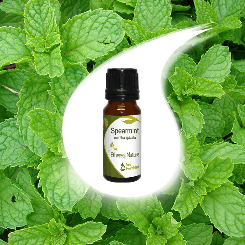 SPRING MINT essential oil 10ml