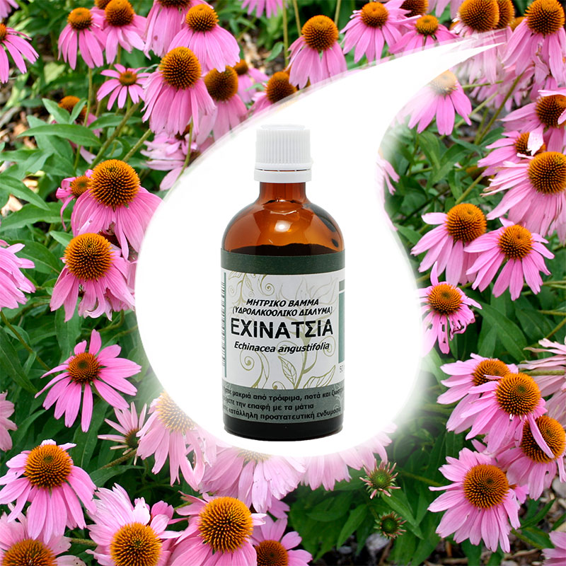 Echinacea Tincture 50ml