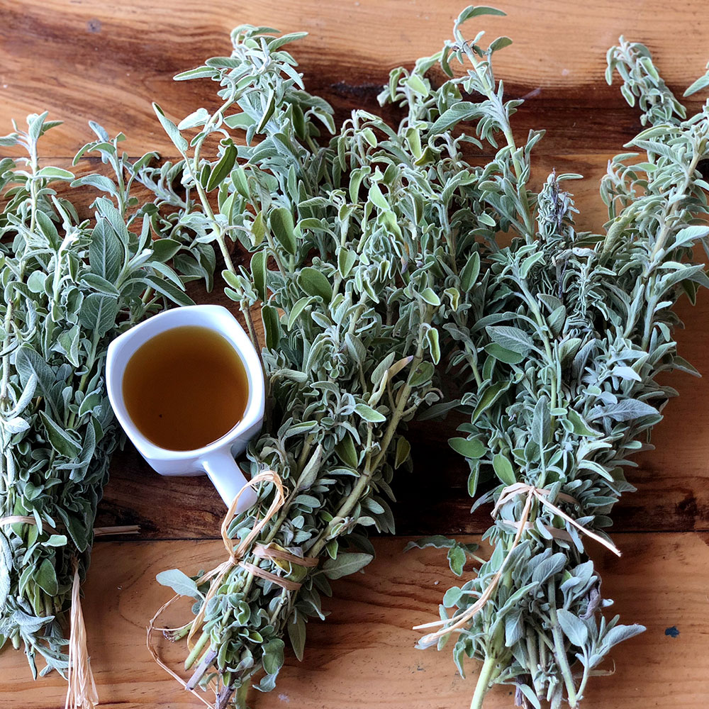 SAGE BUNCH GREEK BIO 