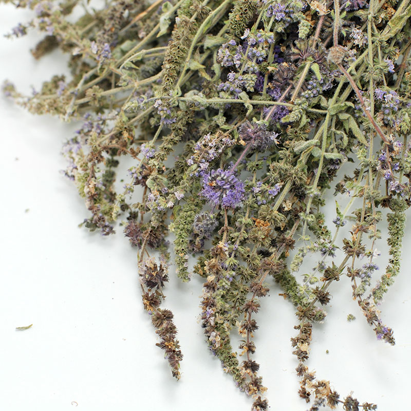 FLISKOUNI (WILD MINT) bunch (Greek)