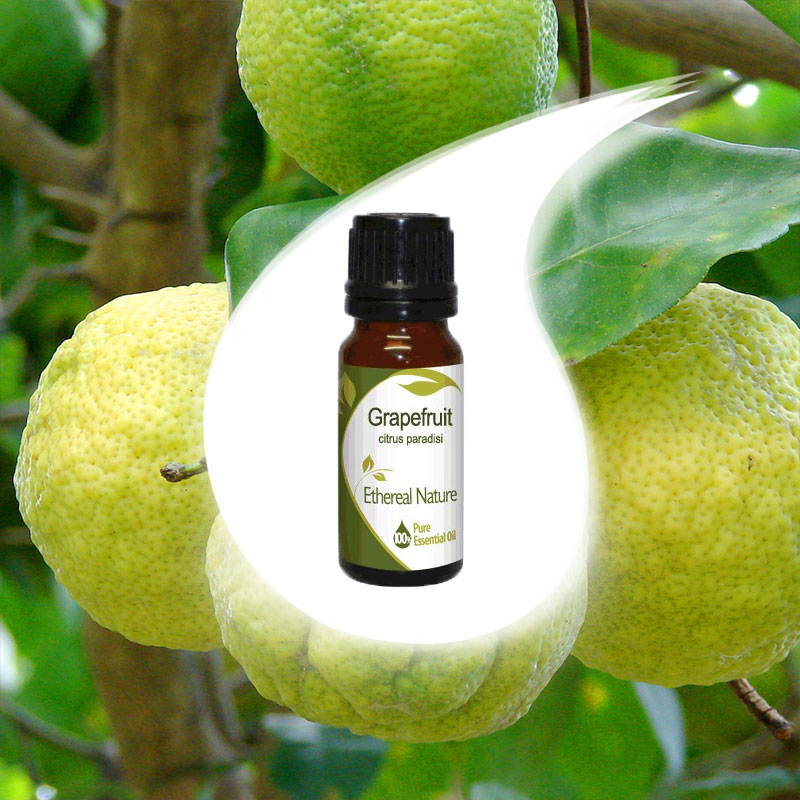 GRAPEFRUIT essential oil 10ml