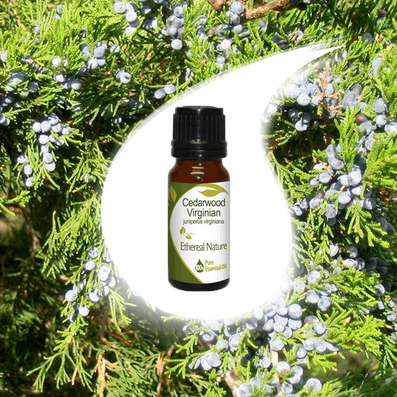 RED CEDAR essential oil 10ml