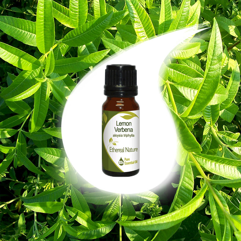 LOUISA essential oil 10ml