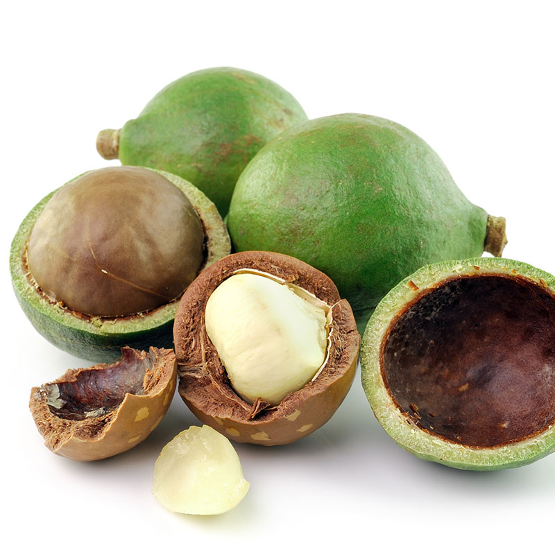 MACADAMIA OIL 50ml