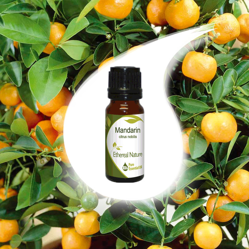 MANDARIN essential oil 10ml