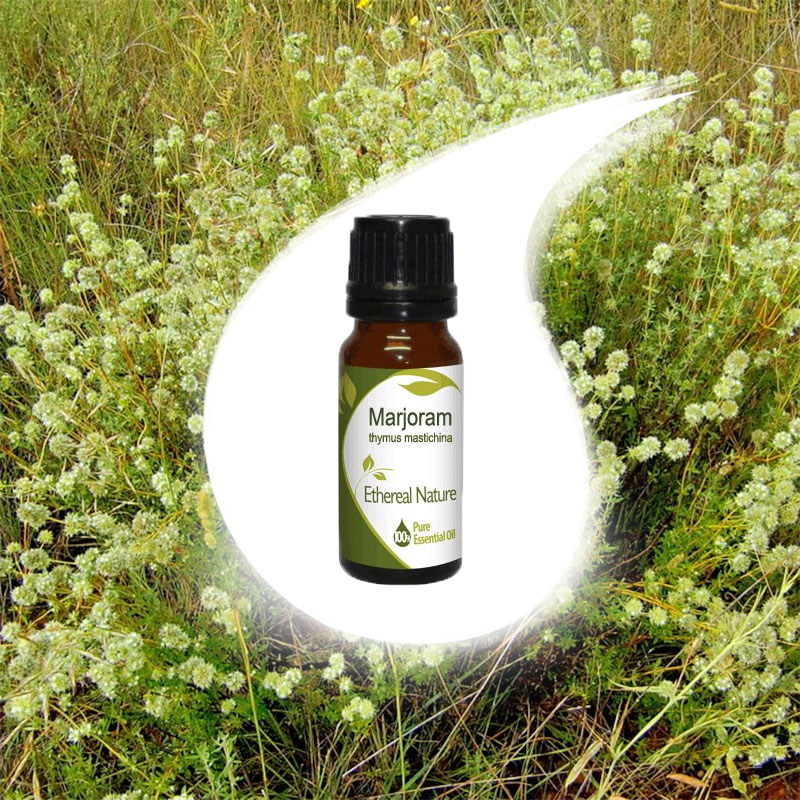 MARJOURANA essential oil 10ml