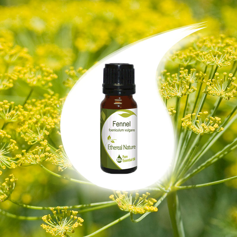 FERNANDO essential oil 10ml