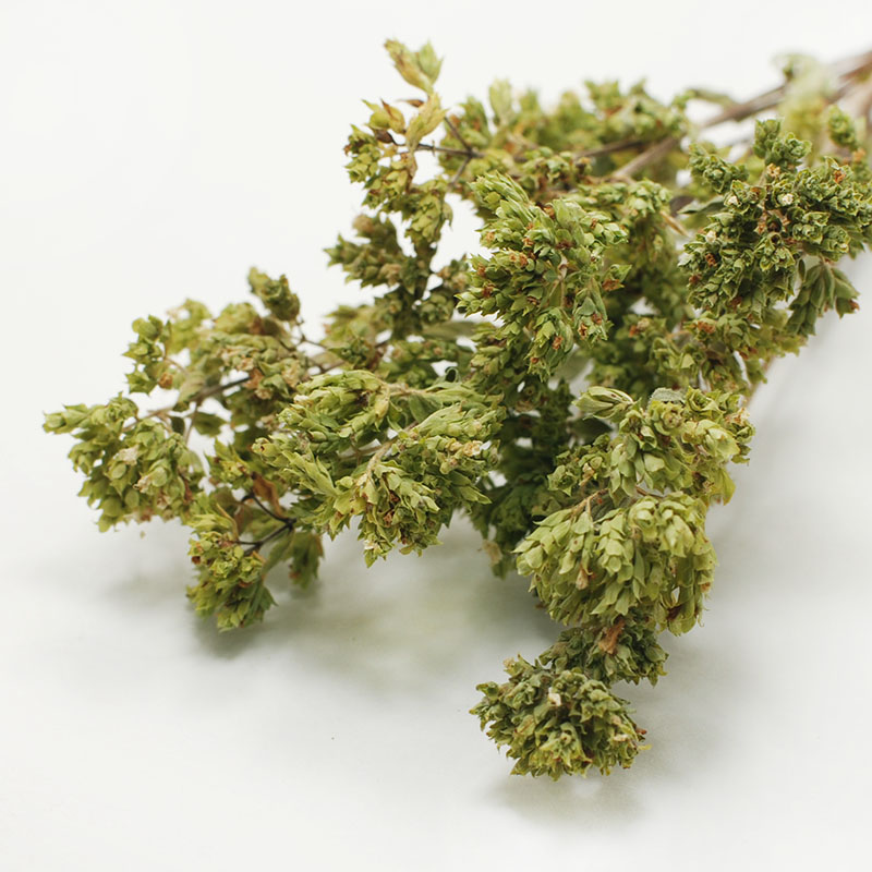 ERYMANTHUS OREGANO BIO MATSO - excellent!