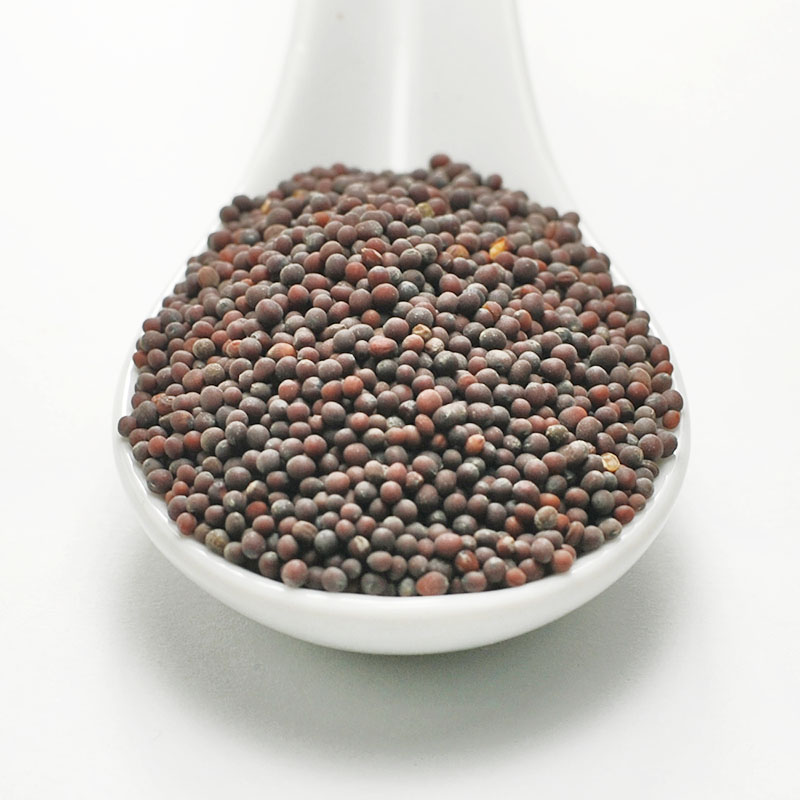 BLACK MUSTARD SEED