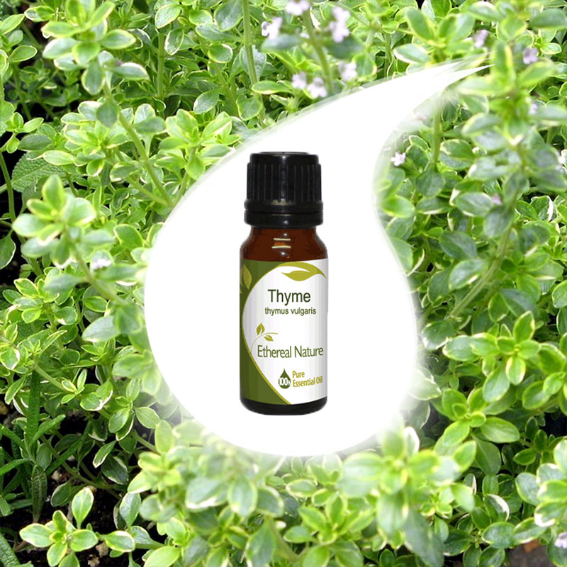 THYME essential oil 10ml