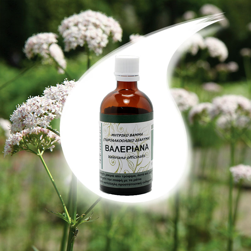 ΒΑΛΕΡΙΑΝΑ ΒΑΜΜΑ 50ml