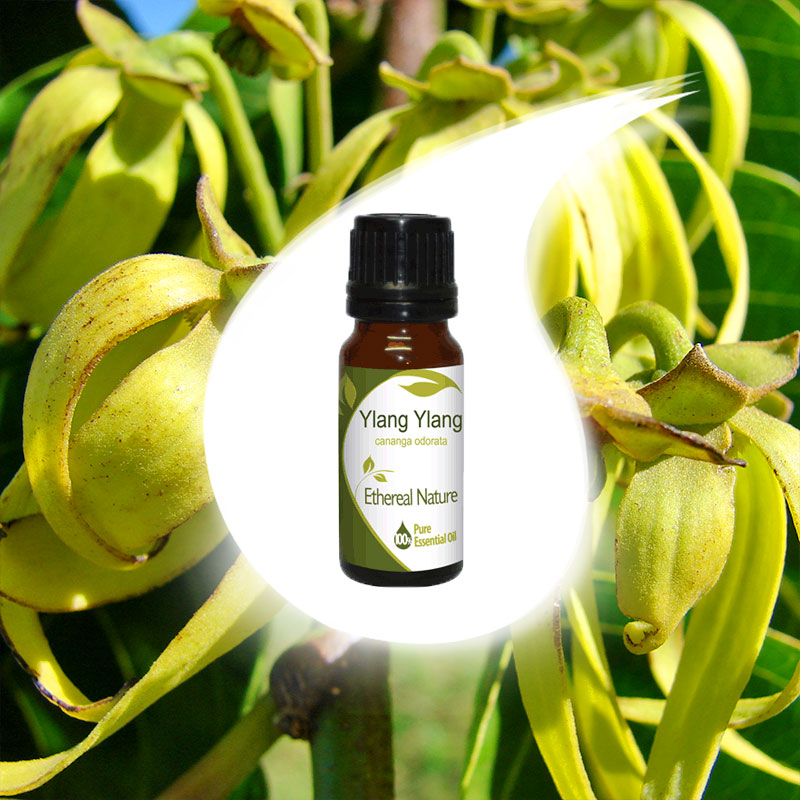YLANG-YLANG essential oil 10ml